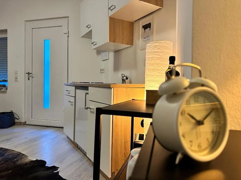 Ferienwohnung Mini Haus Am Ma-Hbf Mit Parkplatz Mannheim
